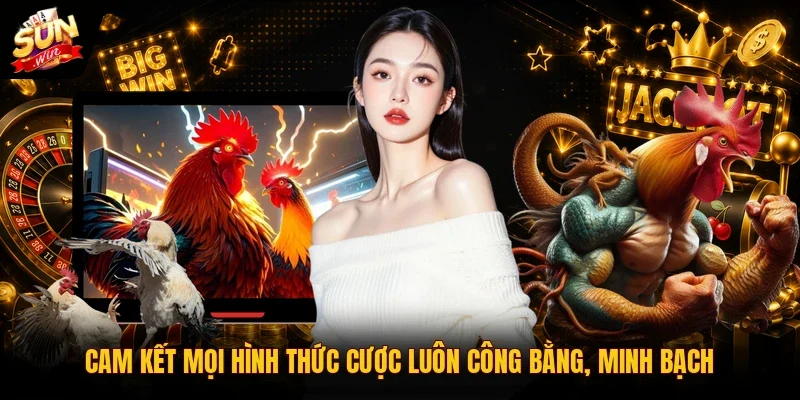 Đá Gà SUNWIN 3 Sunwin Cam kết mọi hình thức cược luôn công bằng, minh bạch