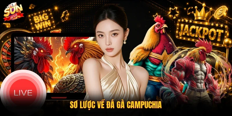 Đá Gà Campuchia | Đấu Trường Trực Tiếp Thomo Đỉnh Cao 2026 2 Sunwin Sơ lược về đá gà Campuchia