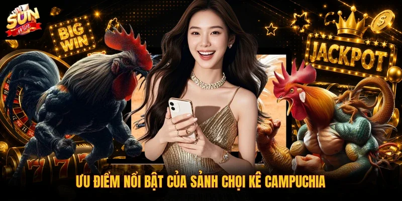 Đá Gà Campuchia | Đấu Trường Trực Tiếp Thomo Đỉnh Cao 2026 4 Sunwin Ưu điểm nổi bật của sảnh chọi kê Campuchia